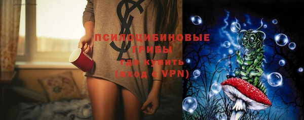 прущие грибы Лабытнанги
