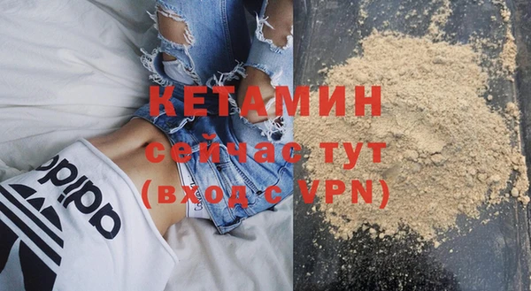 прущие грибы Лабытнанги