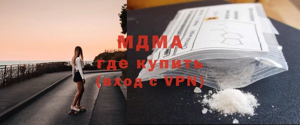 прущие грибы Лабытнанги