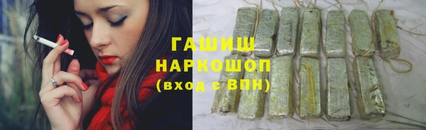прущие грибы Лабытнанги
