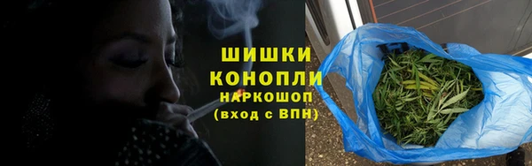 спиды Ладушкин