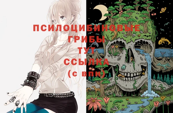 прущие грибы Лабытнанги