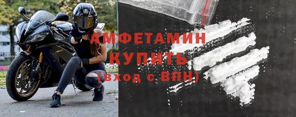 прущие грибы Лабытнанги