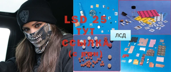 прущие грибы Лабытнанги