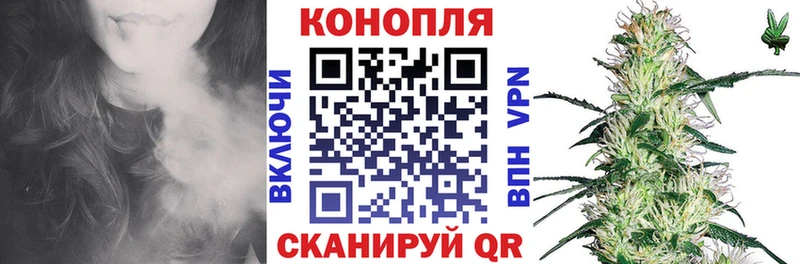 Конопля гибрид  Купить где  Богучар 